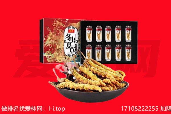 太原市回收虫草.jpg